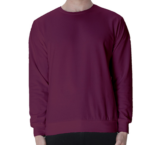 Sweatshirt for Men