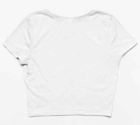 Plain Solid Crop Top