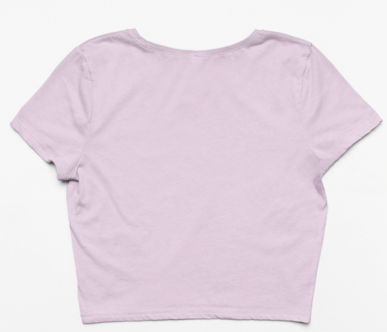 Plain Solid Crop Top