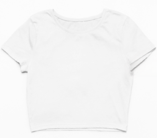 Plain Solid Crop Top